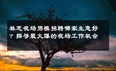 林芝夜场男模招聘哪家生意好？探寻最火爆的夜场工作机会 