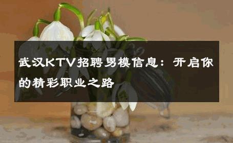 武汉KTV招聘男模信息：开启你的精彩职业之路 