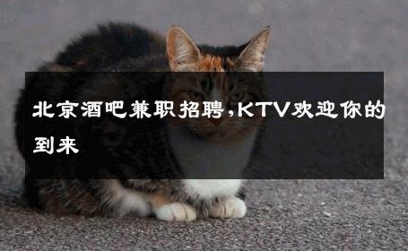 北京酒吧兼职招聘,KTV欢迎你的到来 
