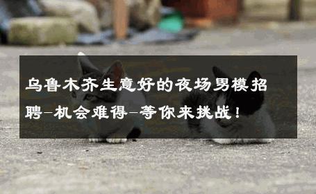乌鲁木齐生意好的夜场男模招聘-机会难得-等你来挑战！ 