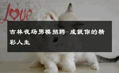 吉林夜场男模招聘-成就你的精彩人生 