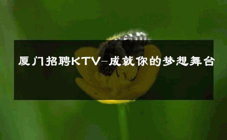 厦门招聘KTV-成就你的梦想舞台 