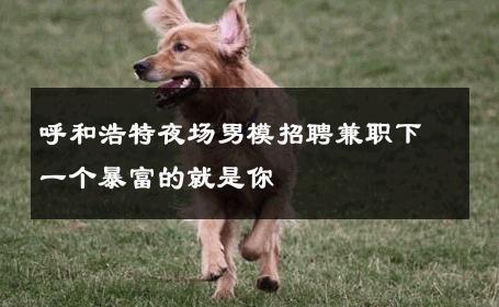 呼和浩特夜场男模招聘兼职下一个暴富的就是你 