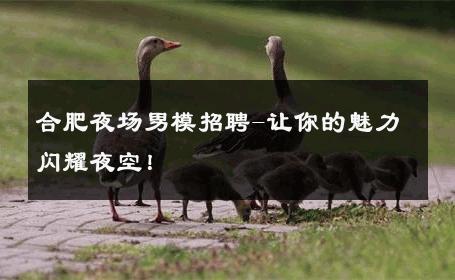 合肥夜场男模招聘-让你的魅力闪耀夜空！ 