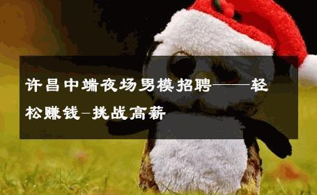 许昌中端夜场男模招聘——轻松赚钱-挑战高薪 