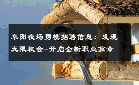 阜阳夜场男模招聘信息：发现无限机会-开启全新职业篇章 