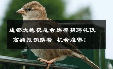 成都大邑夜总会男模招聘礼仪-高额报销路费-机会难得！ 