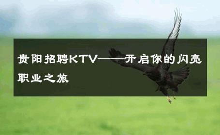 贵阳招聘KTV——开启你的闪亮职业之旅 