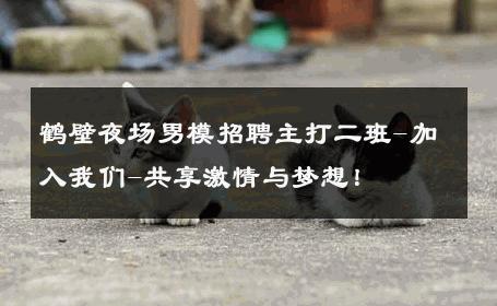 鹤壁夜场男模招聘主打二班-加入我们-共享激情与梦想！ 