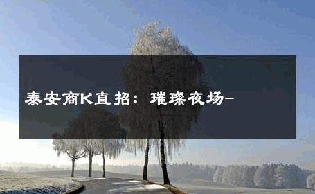 泰安商K直招：璀璨夜场- 