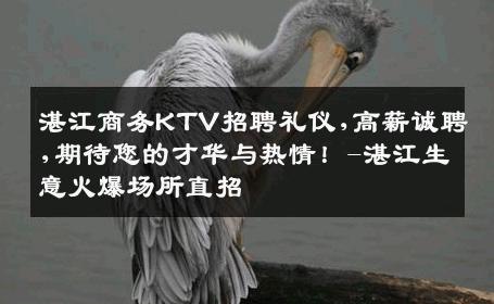 湛江商务KTV招聘礼仪,高薪诚聘,期待您的才华与热情！-湛江生意火爆场所直招