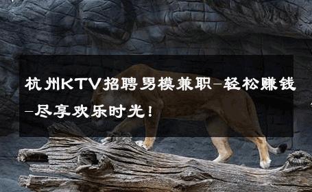 杭州KTV招聘男模兼职-轻松赚钱-尽享欢乐时光！ 