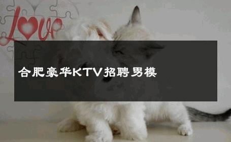 合肥豪华KTV招聘男模 