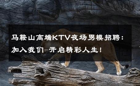 马鞍山高端KTV夜场男模招聘：加入我们-开启精彩人生！ 