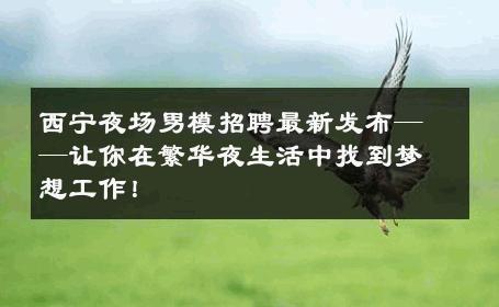 西宁夜场男模招聘最新发布——让你在繁华夜生活中找到梦想工作！ 
