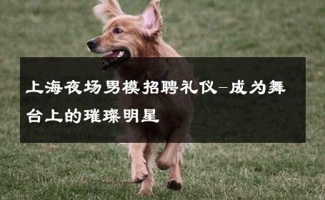 上海夜场男模招聘礼仪-成为舞台上的璀璨明星 