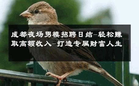 成都夜场男模招聘日结-轻松赚取高额收入-打造专属财富人生 