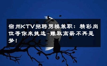 宿州KTV招聘男模兼职：精彩岗位等你来挑选-赚取高薪不再是梦！ 