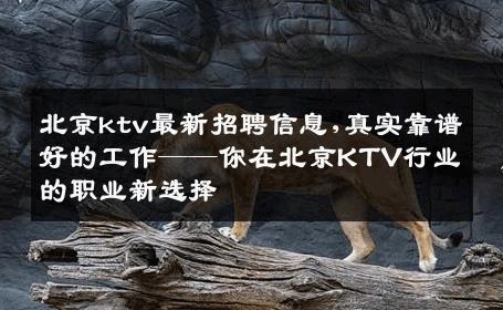 北京ktv最新招聘信息,真实靠谱好的工作——你在北京KTV行业的职业新选择 