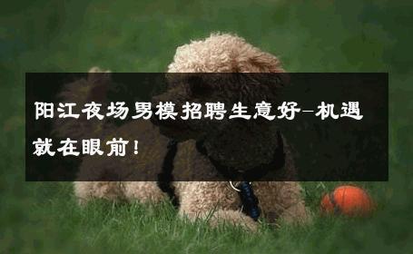 阳江夜场男模招聘生意好-机遇就在眼前！ 