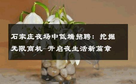 石家庄夜场中低端招聘：挖掘无限商机-开启夜生活新篇章 