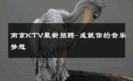 南京KTV最新招聘-成就你的音乐梦想 