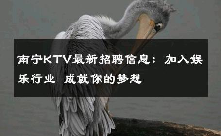 南宁KTV最新招聘信息：加入娱乐行业-成就你的梦想 