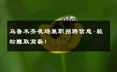 乌鲁木齐夜场兼职招聘信息-轻松赚取高薪！ 