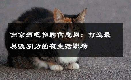 南京酒吧招聘信息网：打造最具吸引力的夜生活职场 