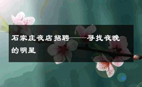 石家庄夜店招聘——寻找夜晚的明星 