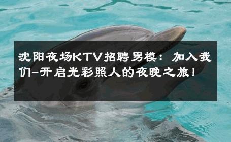 沈阳夜场KTV招聘男模：加入我们-开启光彩照人的夜晚之旅！ 