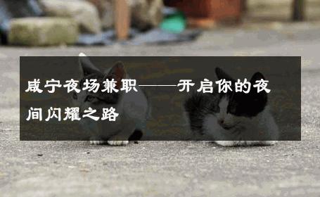 咸宁夜场兼职——开启你的夜间闪耀之路 