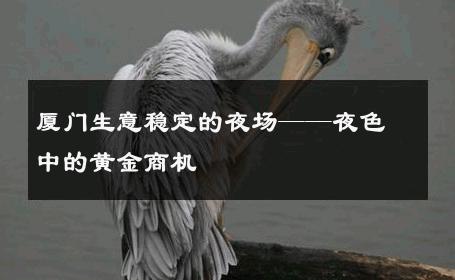 厦门生意稳定的夜场——夜色中的黄金商机 