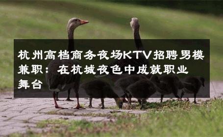 杭州高档商务夜场KTV招聘男模兼职：在杭城夜色中成就职业舞台 