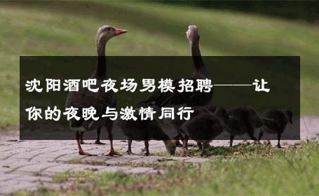 沈阳酒吧夜场男模招聘——让你的夜晚与激情同行 
