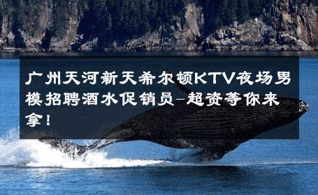 广州天河新天希尔顿KTV夜场男模招聘酒水促销员-超资等你来拿！ 