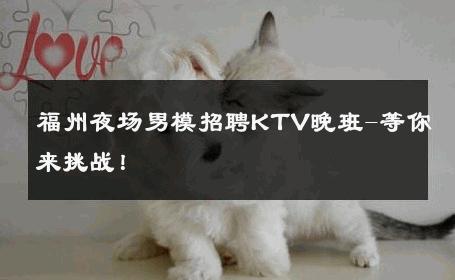福州夜场男模招聘KTV晚班-等你来挑战！ 