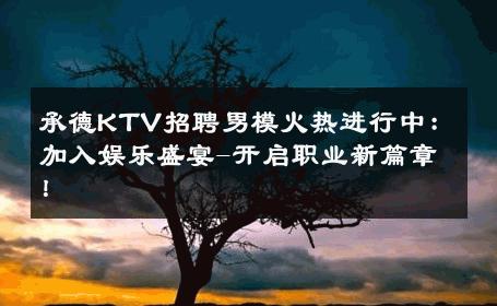 承德KTV招聘男模火热进行中：加入娱乐盛宴-开启职业新篇章！ 