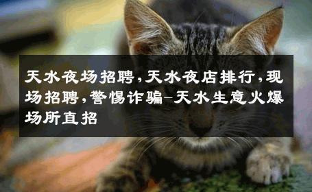 天水夜场招聘,天水夜店排行,现场招聘,警惕诈骗-天水生意火爆场所直招