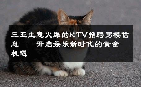 三亚生意火爆的KTV招聘男模信息——开启娱乐新时代的黄金机遇 