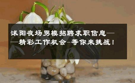 沭阳夜场男模招聘求职信息——精彩工作机会-等你来挑战！ 