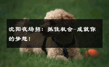 沈阳夜场招：抓住机会-成就你的梦想！ 