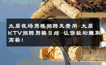 太原夜场男模招聘无费用-太原KTV招聘男模日结-让你轻松赚取高薪！ 