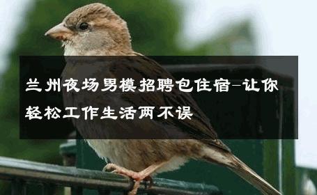 兰州夜场男模招聘包住宿-让你轻松工作生活两不误 