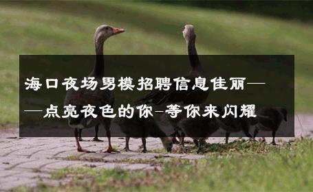 海口夜场男模招聘信息佳丽——点亮夜色的你-等你来闪耀 