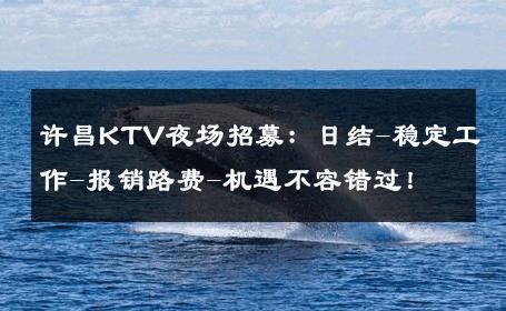 许昌KTV夜场招募：日结-稳定工作-报销路费-机遇不容错过！ 