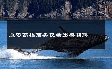 永安高档商务夜场男模招聘 