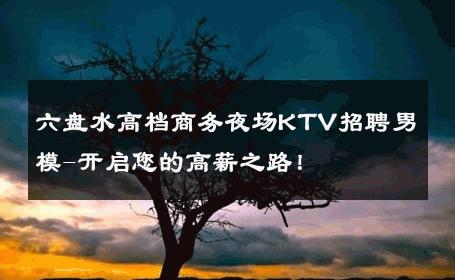 六盘水高档商务夜场KTV招聘男模-开启您的高薪之路！ 