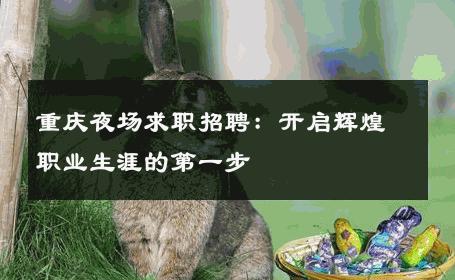 重庆夜场求职招聘：开启辉煌职业生涯的第一步 