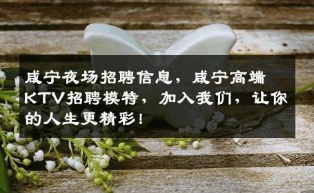 咸宁夜场招聘信息，咸宁高端KTV招聘模特，加入我们，让你的人生更精彩！